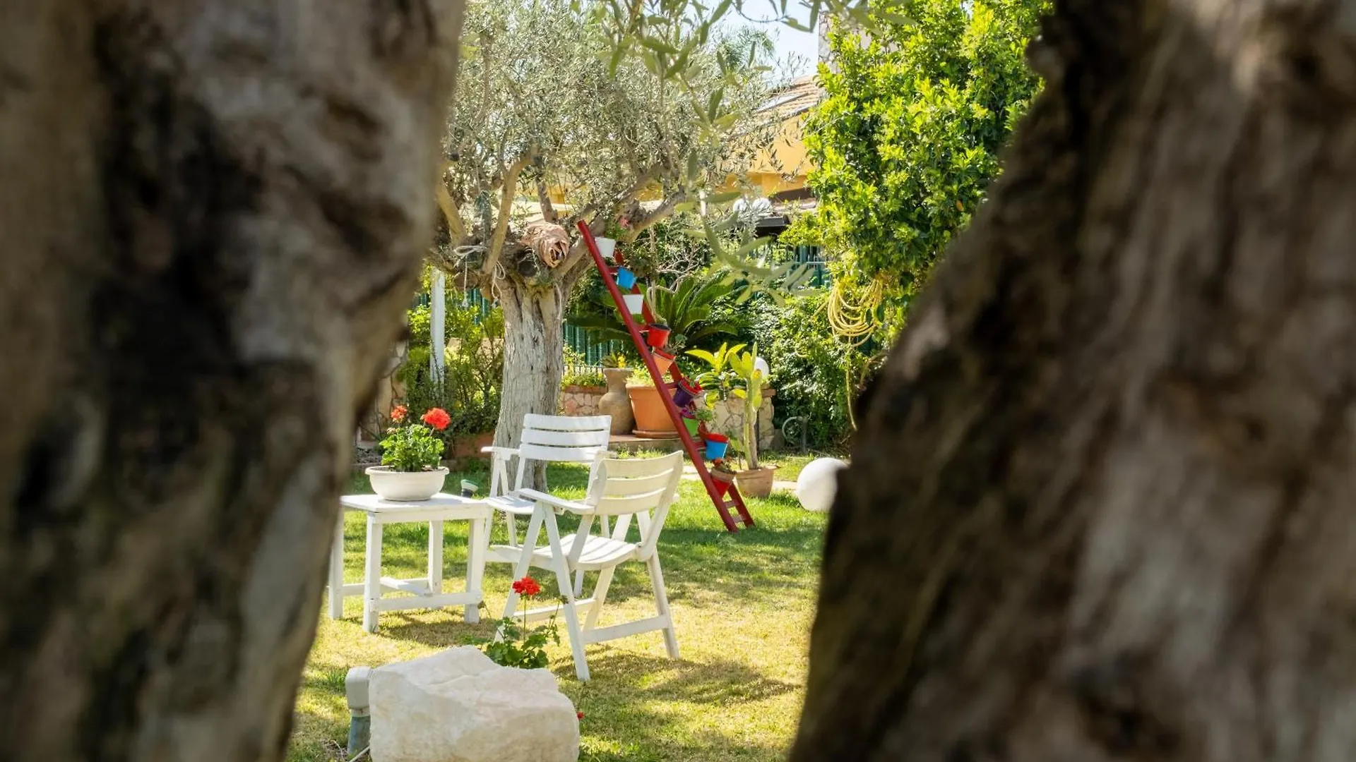 Ferienhaus Casa Vacanze Oasi Campofelice Di Roccella